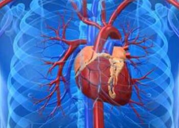 Καρδιά: ο κυρίαρχος του παιχνιδιού