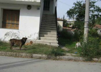 Έριξαν ξανά φόλες στην Πτολεμαΐδα