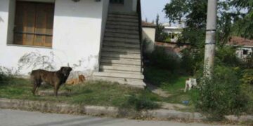 Έριξαν ξανά φόλες στην Πτολεμαΐδα