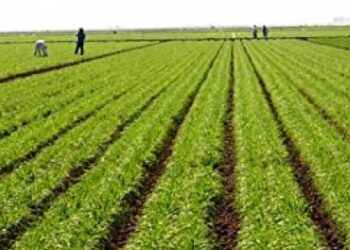 Συνάντηση για τη μεταποίηση αγροτικών προϊόντων στην Περιφέρεια