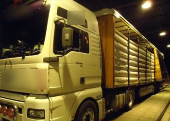 Απόφαση Μιχάλη Παπαδόπουλου: Αύξηση μικτού βάρους φορτηγών αυτοκινήτων εθνικών μεταφορών