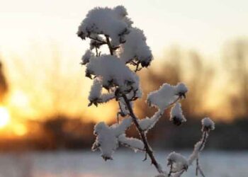 Βελτιώνεται ο καιρός – Μικρή άνοδος της θερμοκρασίας