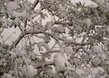 Ο Καιρός σήμερα