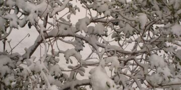 Ο Καιρός σήμερα