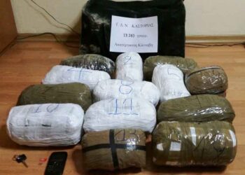 Κατασχέθηκαν πάνω από 13 κιλά ακατέργαστης κάνναβης – Σύλληψη στη Μεσοποταμία Καστοριάς