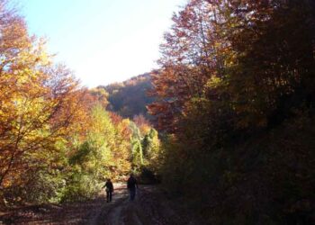 Εξόρμηση στο Βόιο από τον ΣΕΟ Κοζάνης