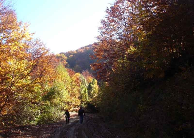 Εξόρμηση στο Βόιο από τον ΣΕΟ Κοζάνης
