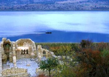 Περιηγήσου στα δάση της Πρέσπας και ανακάλυψε τα μυστικά της   