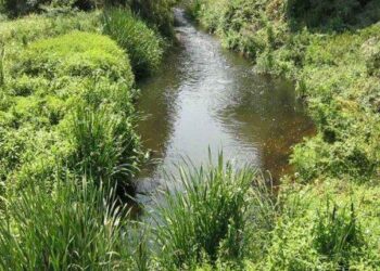 ΠΤΟΛΕΜΑΪΔΑ: Ξεκινά σε 15 μέρες ο Καθαρισμός του Σουλού – Στον “αέρα” η πρόσκληση υποβολής προσφορών για την εκτέλεση του έργου