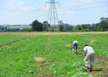 Γρεβενά: Συνελήφθη 55χρονος γιατί στα χωράφια του εργάζονταν παράνομοι μετανάστες