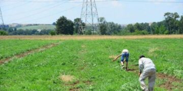 Γρεβενά: Συνελήφθη 55χρονος γιατί στα χωράφια του εργάζονταν παράνομοι μετανάστες