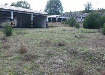 Στην Κοζάνη ο αν. Υπουργός Νίκος Τόσκας για την άσκηση σεισμού – Παρών και ο Αρχηγός του Πυροσβεστικού Σώματος