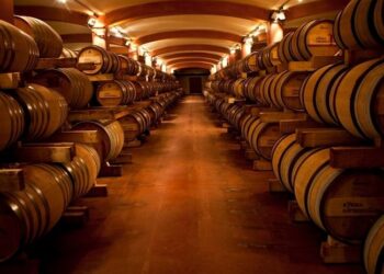 Ημερίδα για την εξειδίκευση του κλάδου της Οινοποιίας στον Άγιο Παντελεήμονα Αμυνταίου