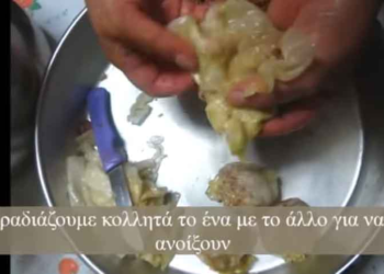 Δείτε βίντεο με συνταγή για Κοζανίτικα γιαπράκια!