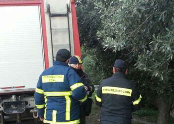 Μεγάλη πυρκαγιά σε γραφείο μεταφορικής εταιρείας στα Κοίλα Κοζάνης