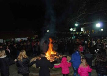 ????????????????????????????????????