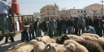 Σε ευρεία σύσκεψη για τις επιδοτήσεις κτηνοτρόφων ο Αντιπεριφερειάρχης Κοζάνης Παναγιώτης Πλακεντάς
