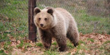 ????????????????????????????????????