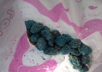 Έριξαν πάλι φόλες στην Πτολεμαΐδα – Έκκληση Εθελοντών του Κυνοκομείου για την περισυλλογή τους  