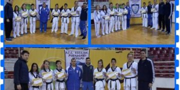 Προκριματικό TAE KWON DO: 13 μετάλλια για τη “Μακεδονική Δύναμη” Κοζάνης   