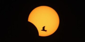 Κίνδυνος μπλακάουτ στην Ευρώπη από την έκλειψη ηλίου της Παρασκευής