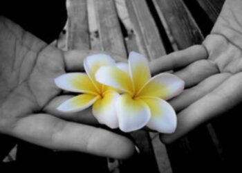 Αγάπη, ένα άγνωστο συναίσθημα αλλά απαραίτητο στον σημερινό άνθρωπο, γράφει ο Γιαννάκης Γεώργιος