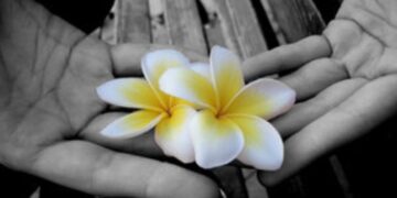 Αγάπη, ένα άγνωστο συναίσθημα αλλά απαραίτητο στον σημερινό άνθρωπο, γράφει ο Γιαννάκης Γεώργιος