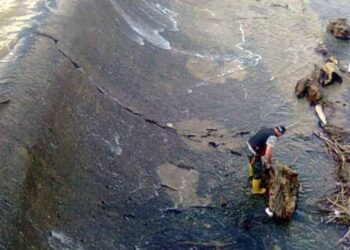 ”Τα ψάρια βγήκαν στη στεριά…” Πιάνουν ψάρια από την υπερχείλιση στο Φράγμα του Περδίκκα Εορδαίας