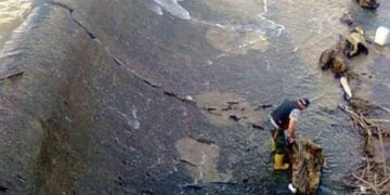 ”Τα ψάρια βγήκαν στη στεριά…” Πιάνουν ψάρια από την υπερχείλιση στο Φράγμα του Περδίκκα Εορδαίας