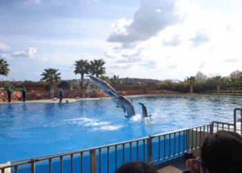 Αττικό Ζωολογικό Πάρκο, από την εφημερίδα του 5ου Γυμνασίου