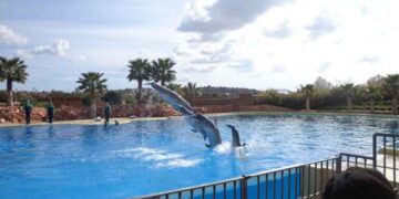 Αττικό Ζωολογικό Πάρκο, από την εφημερίδα του 5ου Γυμνασίου