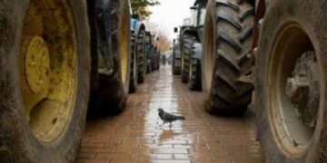 ΟΠΕΚΕΠΕ: Ξεκίνησαν οι πληρωμές 51,5 εκατ. ευρώ σε 107.000 αγρότες