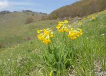 Ορειβατική Λέσχη Εορδαίας:  Διάσχιση στην οροσειρά Μουρικίου