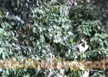 Ανοιξιάτικα χιόνια στη Φλώρινα (video)