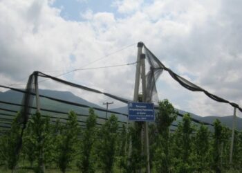 Έγκριση επιχορήγησης για εγκαταστάσεις αντιχαλαζικών διχτύων και εγκαταστάσεων αντιβροχικής μεμβράνης σε Κοζάνη- Γρεβενά- Καστοριά