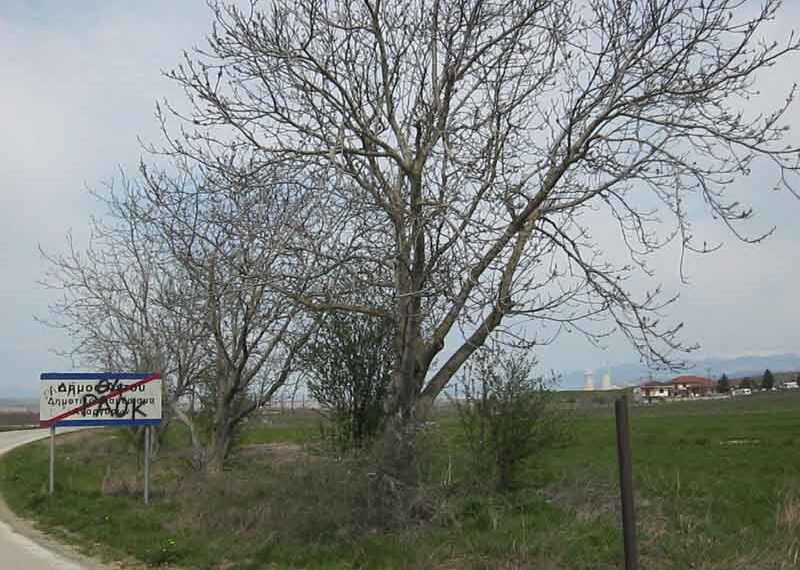 Λαϊκή συνέλευση το απόγευμα στους Αναργύρους για τη μετεγκατάσταση