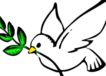 Ενώνουν τα χέρια μαθητές της Πτολεμαΐδας και του Scharmbeck Γερμανίας: Πρόγραμμα “Πολιτισμός Μνήμης: Πύργοι Μεσόβουνο”