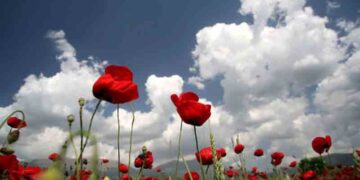 Μάιος, ο μήνας των ιστορικών και θρησκευτικών γεγονότων, γράφει ο Γεώργιος Γιαννάκης