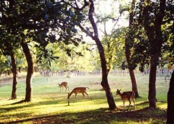 Καθαρίζουν το Κουρί οι εθελοντές και ο Δήμος Κοζάνης