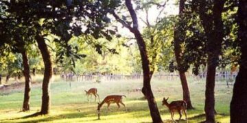 Καθαρίζουν το Κουρί οι εθελοντές και ο Δήμος Κοζάνης