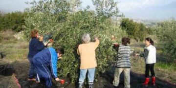 Η Περιφέρεια Δυτικής Μακεδονίας βραβεύει τον Αγροτικό Συνεταιρισμό Ιμέρων