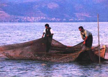 Συλλήψεις για παράνομη αλιεία στη λίμνη Πετρών Φλώρινας