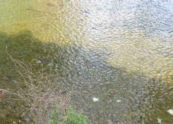 Ξανά πανικός στα Τρίκαλα από χαρτονομίσματα σε… ποτάμι