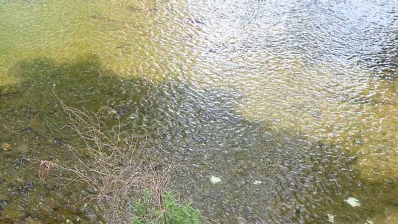 Ξανά πανικός στα Τρίκαλα από χαρτονομίσματα σε… ποτάμι