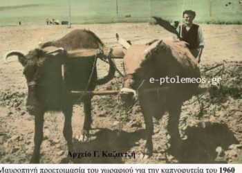 Σκηνογραφία της Γεωργοκτηνοτροφικής Εορδαίας το 1960, από την στήλη του Γεώργιου Καζαντζή στον Παλμό 15/07/2015