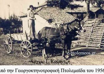 Η ταυτότητα της Πτολεμαϊδος προ του 1956… Aπό την στήλη του Γεώργιου Καζαντζή στον Παλμό 29/07/2015