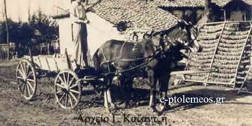 Η ταυτότητα της Πτολεμαϊδος προ του 1956… Aπό την στήλη του Γεώργιου Καζαντζή στον Παλμό 29/07/2015