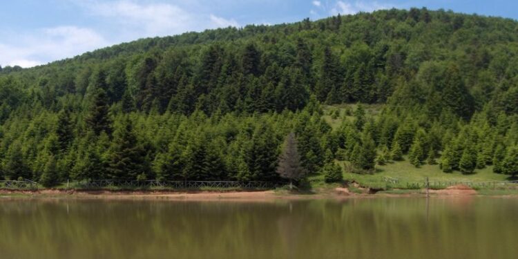 Εξόρμηση του Σ.Ε.Ο. Κοζάνης στη Λίμνη Κατή του Ολύμπου