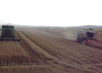 Στέγνωσαν… από καύσιμα και οι θεριζοαλωνιστές της Π.Ε. Κοζάνης –  Αναφορά Ουζουνίδου – Πετράκου στον Πρόεδρο των ΕΛ.ΠΕ.