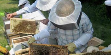 Σεμινάριο Μελισσοκομίας στην Κοζάνη